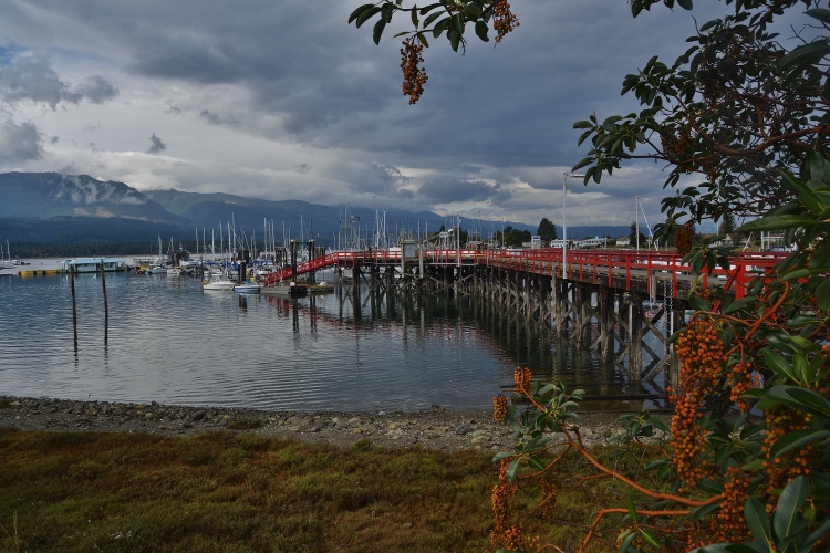 bay scene